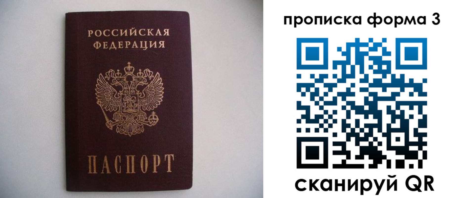 прописка в Ногинске